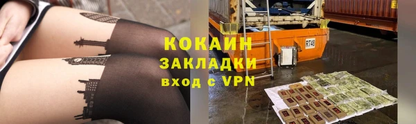 крисы Михайловск