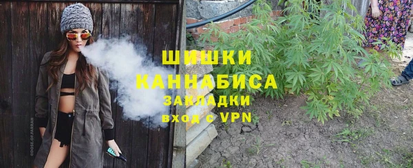 крисы Михайловск