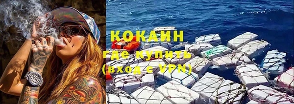 спиды Михайлов