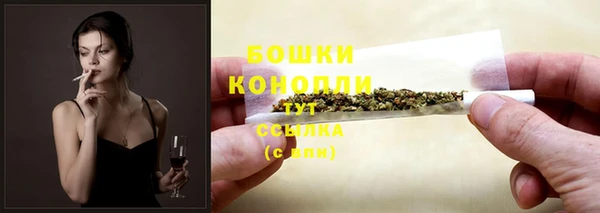 спиды Михайлов