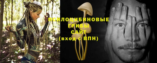 крисы Михайловск